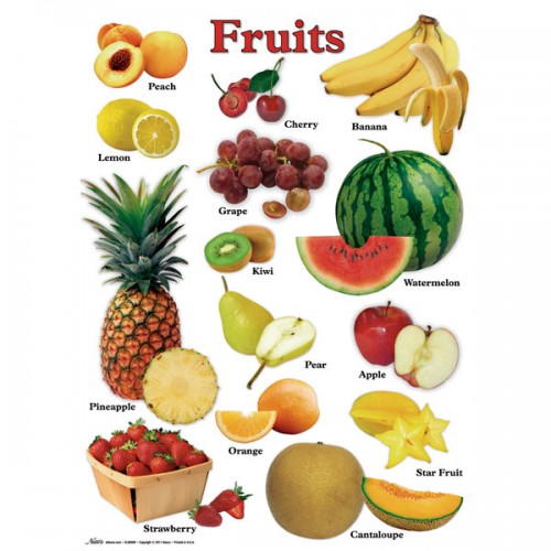 Nasco Nutrition Posters | Besto Blog